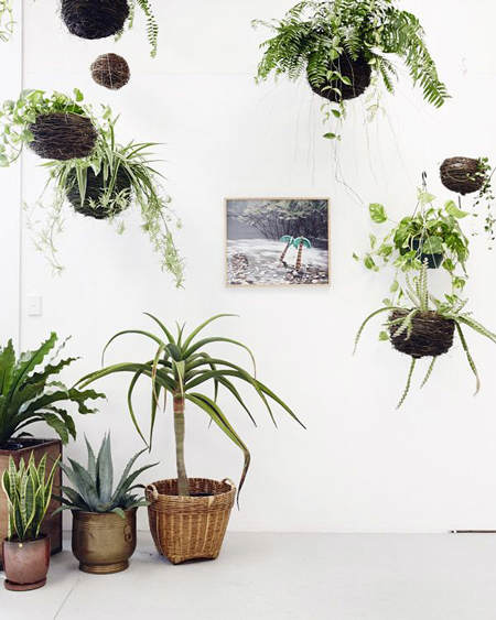 decorar_plantas_motivos_vegetales_16