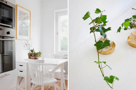 decorar_plantas_motivos_vegetales_2