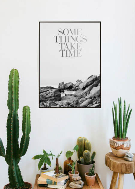 decorar_con_cactus_10