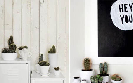 decorar_con_cactus_11