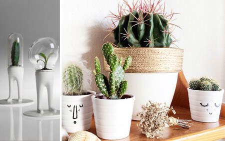 decorar_con_cactus_13