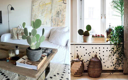 decorar_con_cactus_19