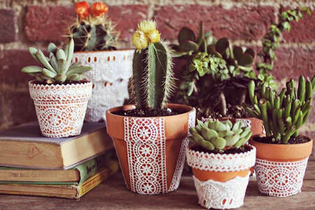 decorar_con_cactus_23