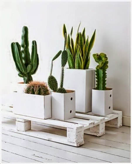 decorar_con_cactus_24