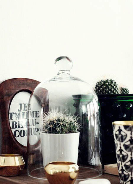 decorar_con_cactus_26