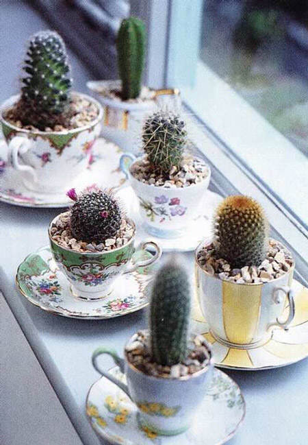 decorar_con_cactus_6