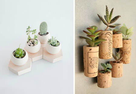 decorar_con_cactus_9