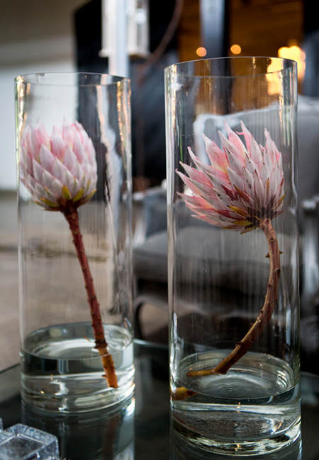 57092-protea-flowers-wedding-decor-at-molenvliet