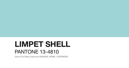 limpet_shell_1