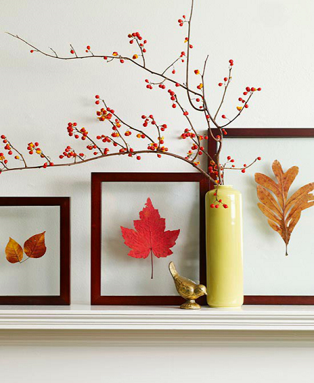 decorar con plantas de otoño