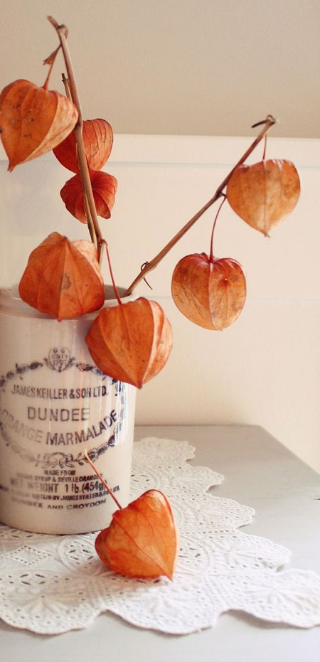 decorar con plantas de otoño