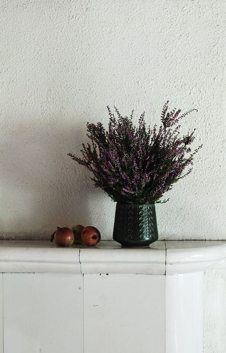 decorar con plantas de otoño