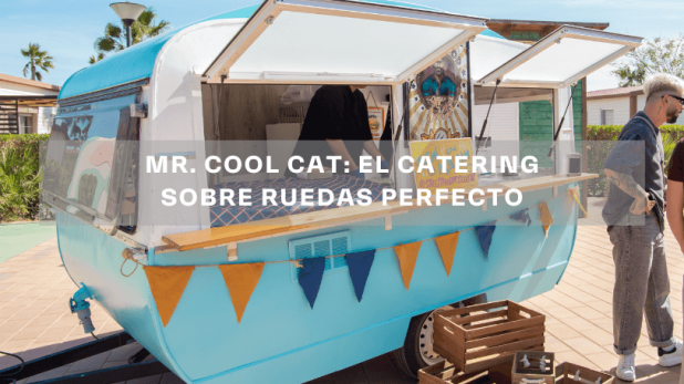 mr cool cat catering