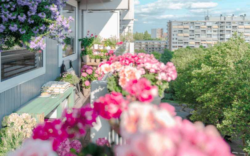 flores en el balcón